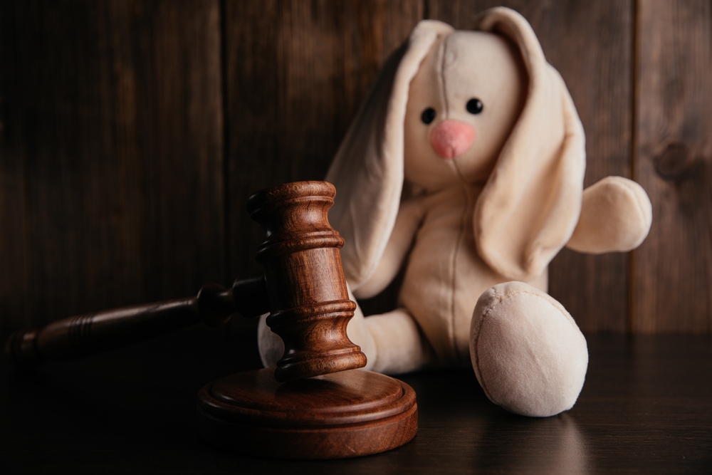How Can an Attorney Appointed for Your Child Help Resolve Custody Disputes?